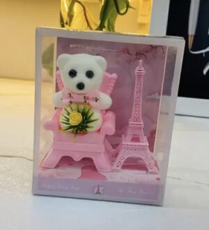 Teddy in Paris Box