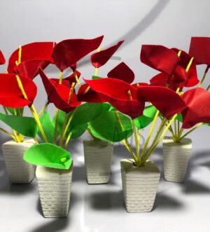 Anthurium Flowers Vase (1Pc)