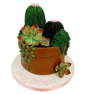 Cacti and Succulents Cake