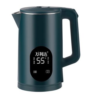 Electronic Kettle