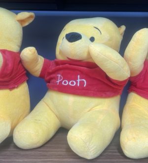 Pooh Teddy