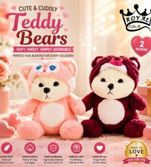 Hoody Teddy Bear